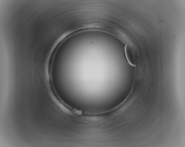 X0000113921084200909241525