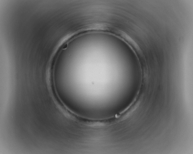 X0000113921085200909241525