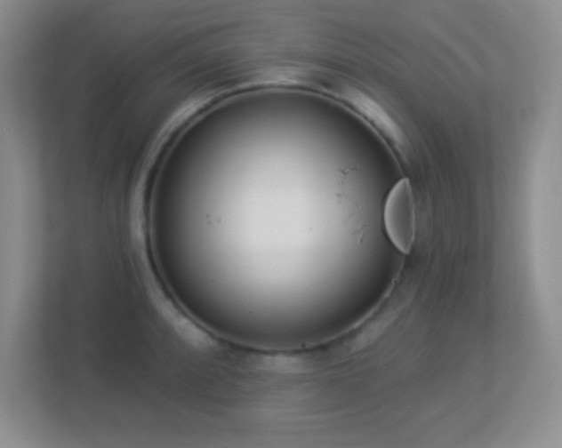 X0000113921088200909241525