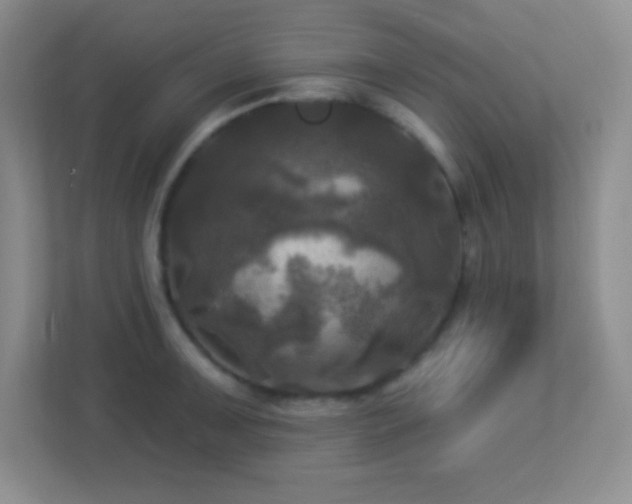 X0000113921091200909241525