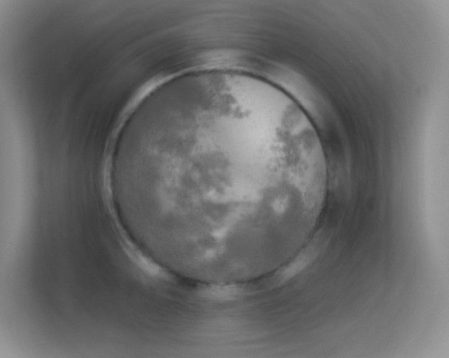 X0000113921094200909241525