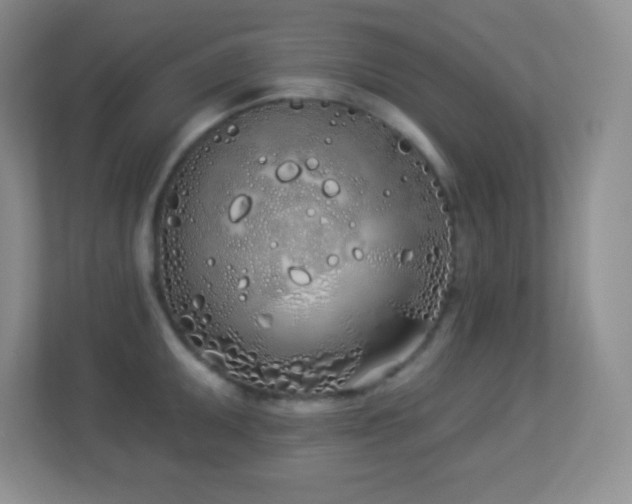 X0000113921095200909241525