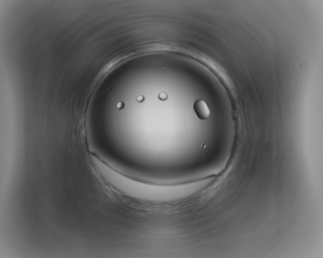 X0000113921097200909241525