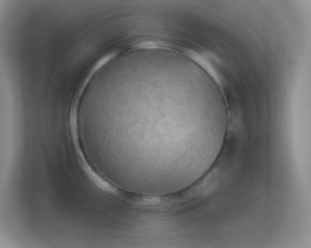 X0000113921098200909241525