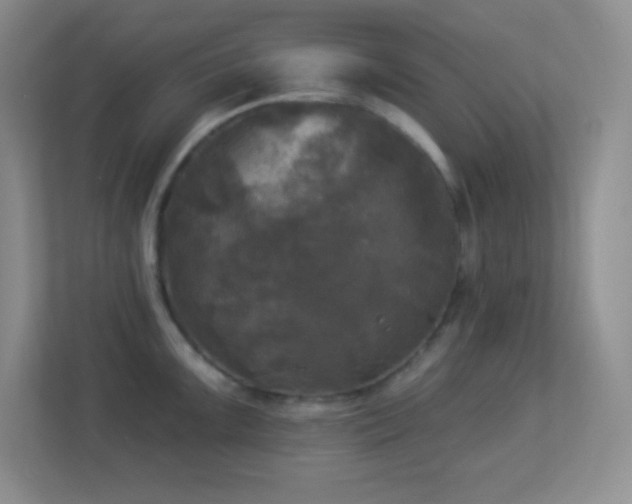 X0000113921099200909241525