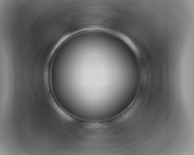 X0000113921100200909241525