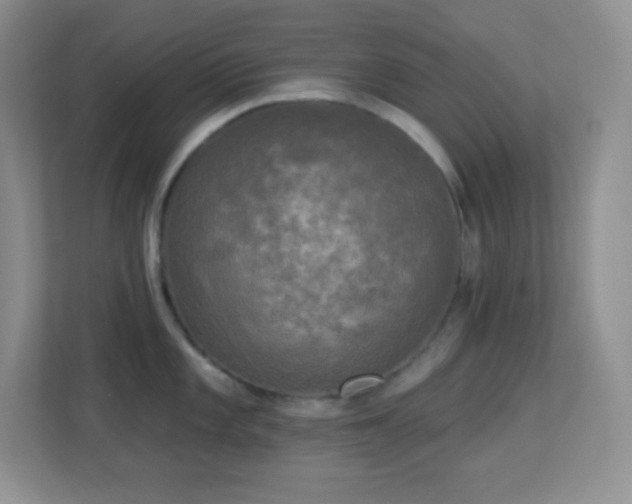 X0000113921101200909241525