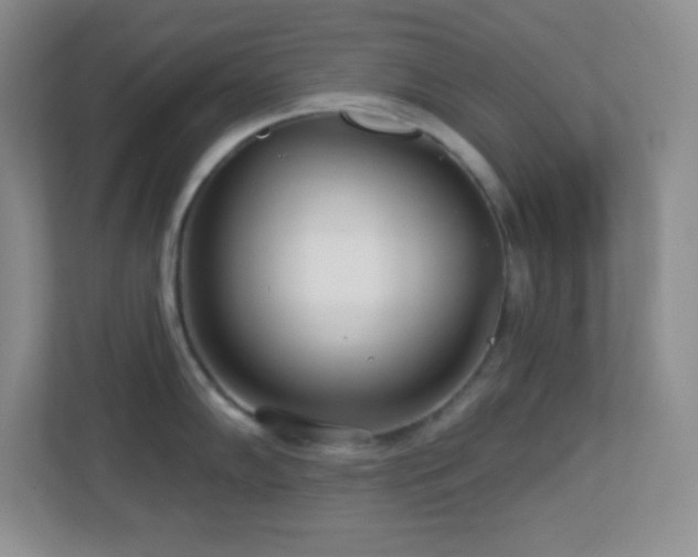 X0000113921102200909241525