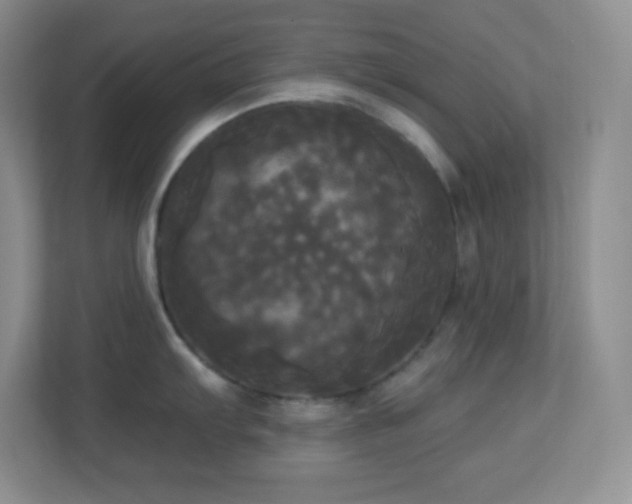 X0000113921103200909241525