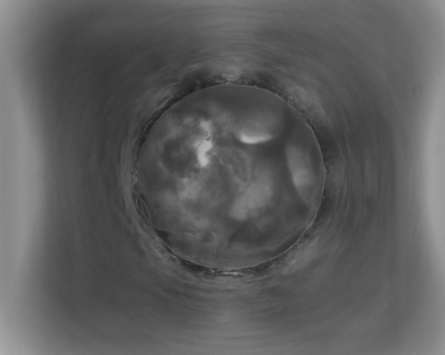 X0000113921105200909241524