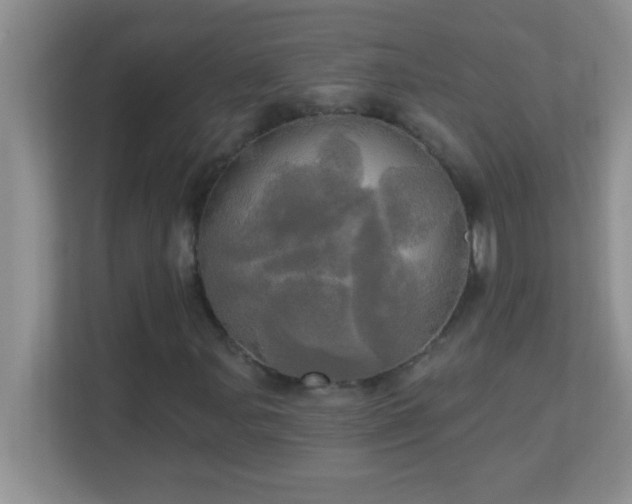 X0000113921107200909241524