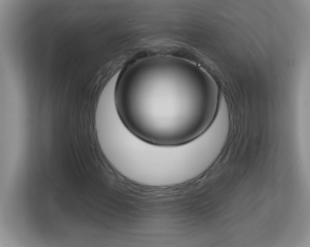 X0000113921108200909241524