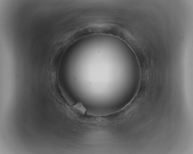 X0000113921109200909241524