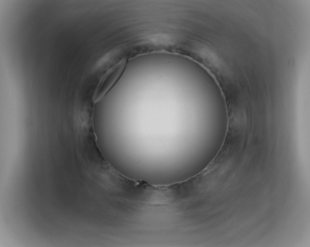 X0000113921110200909241524