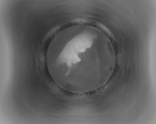 X0000113921111200909241524