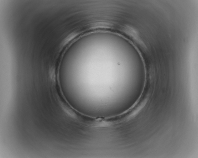 X0000113921113200909241524