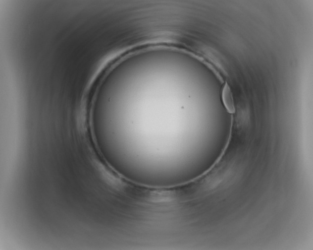 X0000113921116200909241524