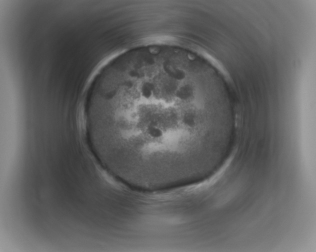 X0000113921117200909241524