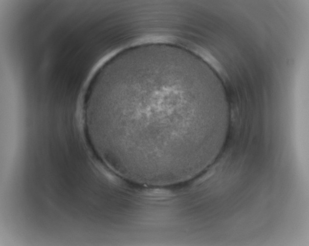 X0000113921119200909241524