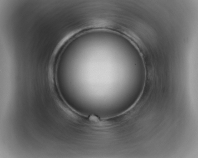 X0000113921120200909241524