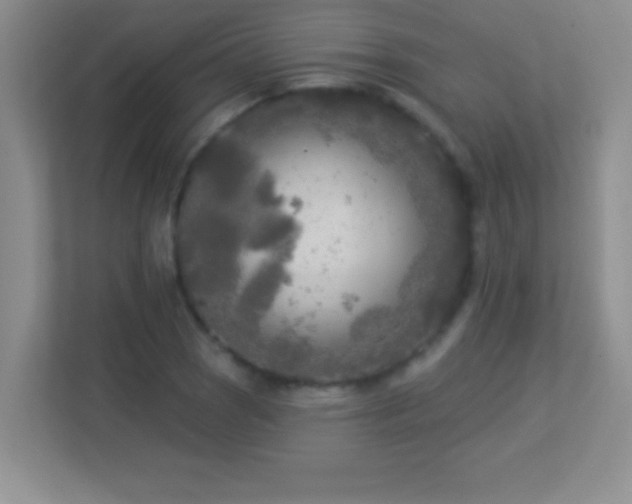 X0000113921121200909241524