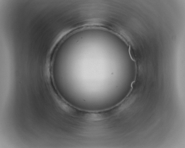 X0000113921124200909241524