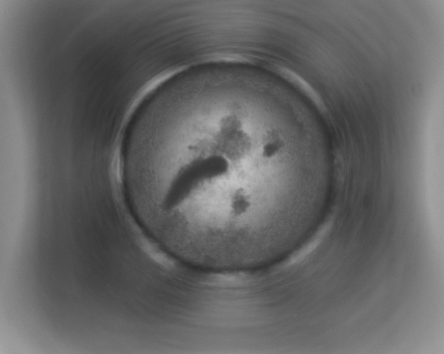 X0000113921125200909241524