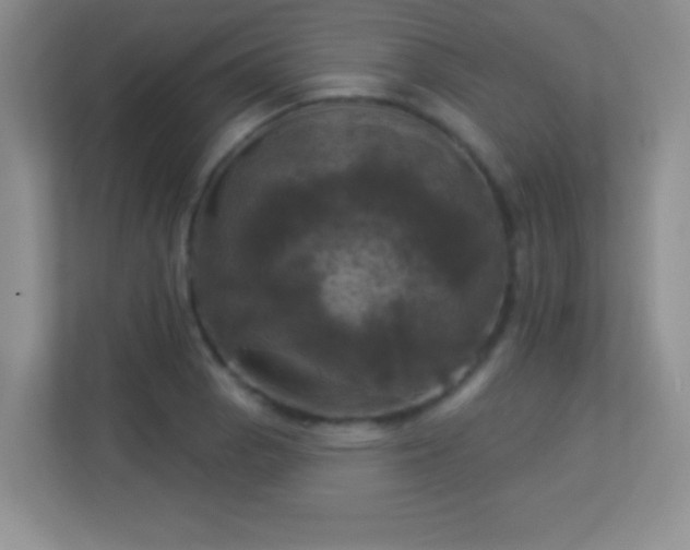 X0000113921129200909241524