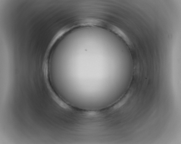 X0000113921130200909241524