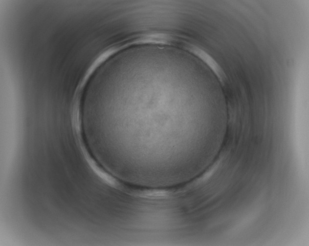 X0000113921131200909241524