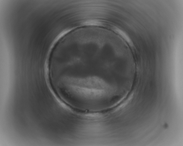 X0000113921133200909241524