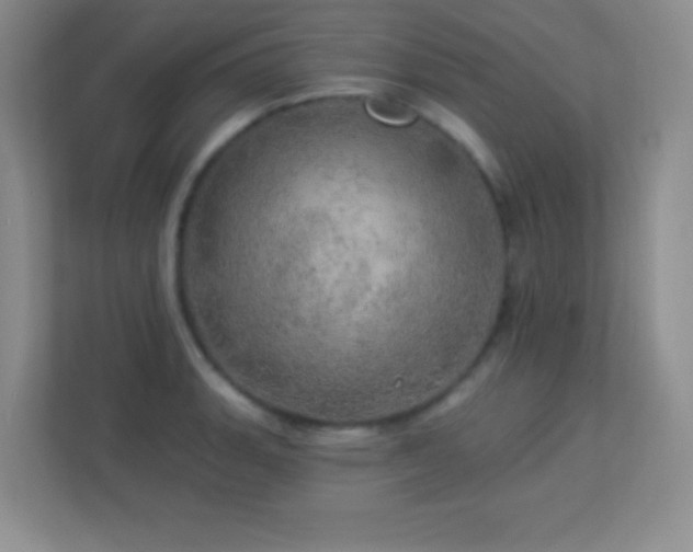 X0000113921135200909241524