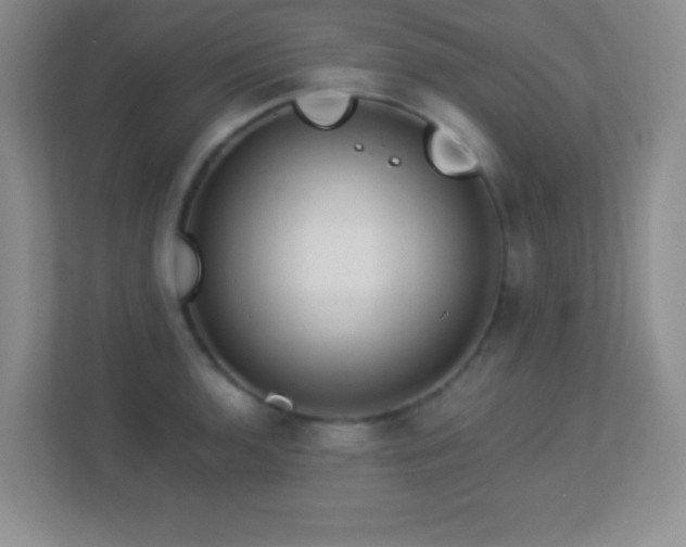 X0000113921136200909241524