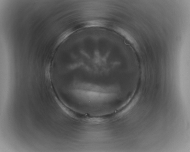 X0000113921137200909241524