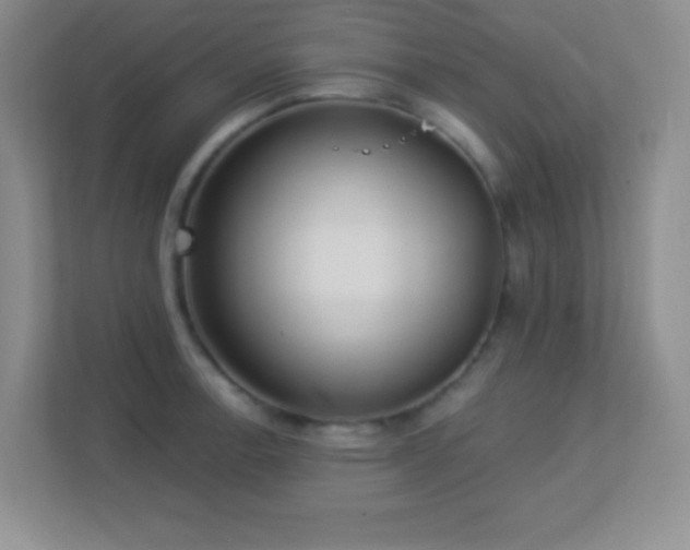 X0000113921138200909241524