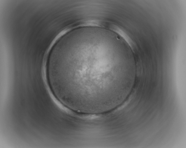 X0000113921139200909241524