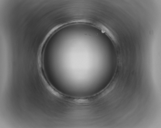 X0000113921140200909241524