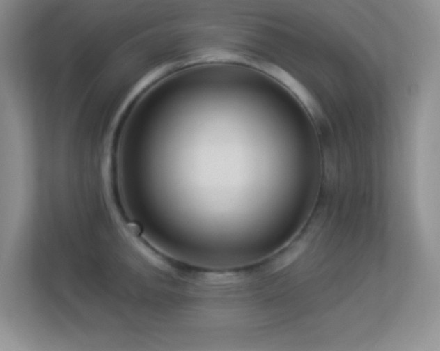 X0000113921142200909241524