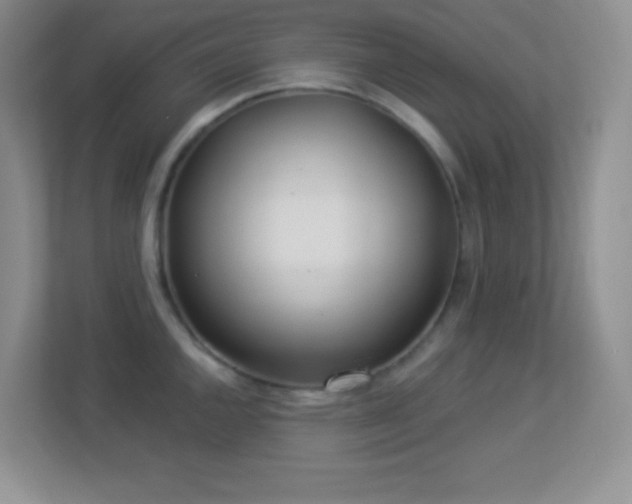 X0000113921144200909241524