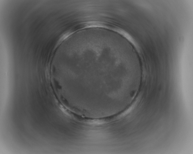 X0000113921145200909241524