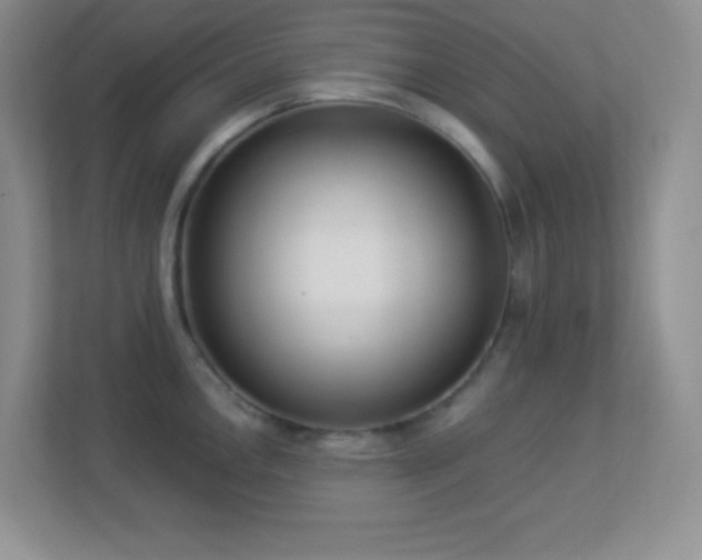 X0000113921146200909241524