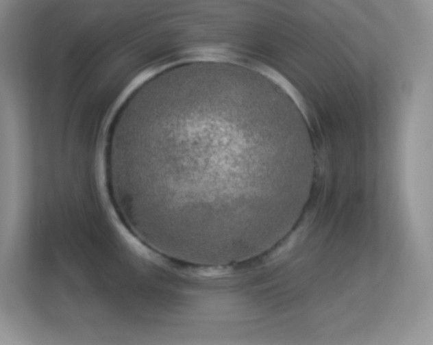 X0000113921147200909241524