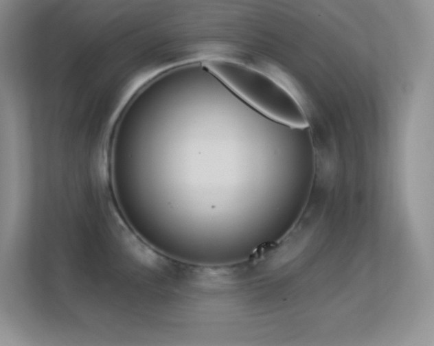 X0000113921148200909241524