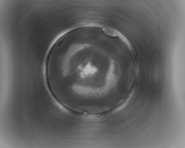 X0000113921149200909241524