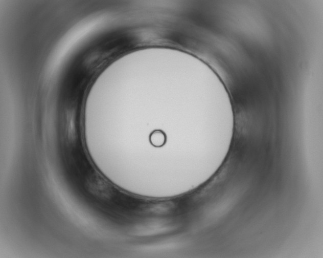 X0000113921150200909241524