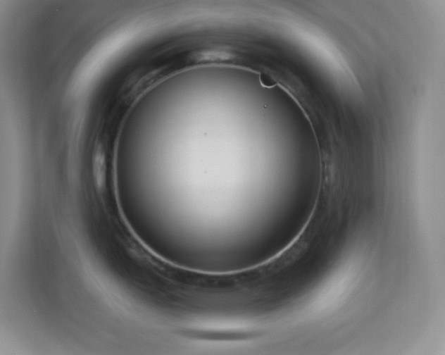 X0000113921151200909241525