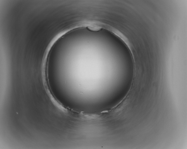 X0000113921152200909241525