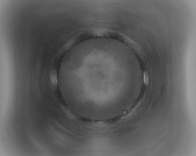 X0000113921155200909241524