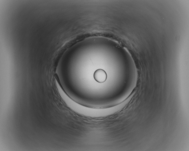 X0000113921157200909241524