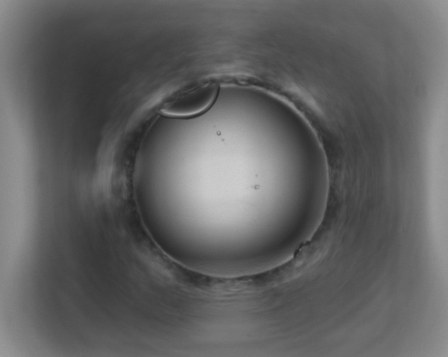 X0000113921159200909241524